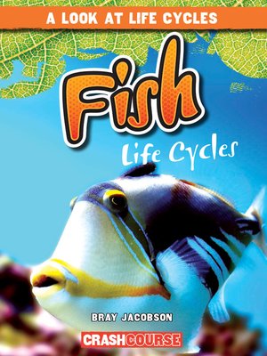 cover image of Fish Life Cycles